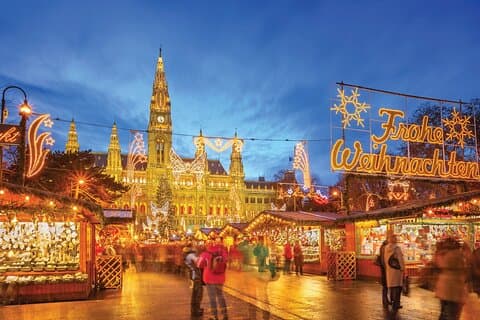 Ganztägige private Wiener Weihnachtsmarkttour von Budapest mit Mittagessen