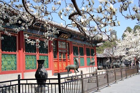 Excursão privada a pé: Palácio de Verão, Templo do Céu e Hutong