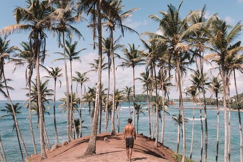 Fototour durch Sri Lanka (6 Tage)