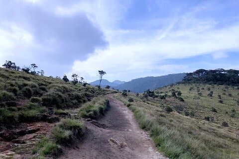 Excursão de um dia para Horton Plains com passeio panorâmico de trem saindo de Nuwara Eliya
