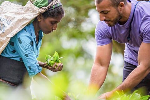 Ceylon Tea Tour (5 Tage)