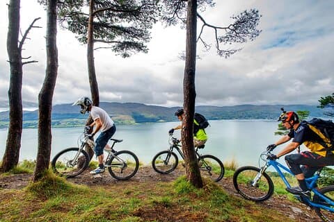 Mountainbike stier. Oughterard, Galway. Selvstyret. Fuld dag.