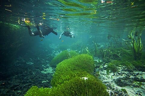 Snorkel in the Sucuri River