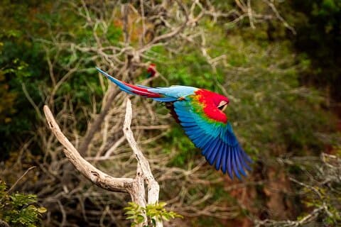 Tour to Buraco Das Araras