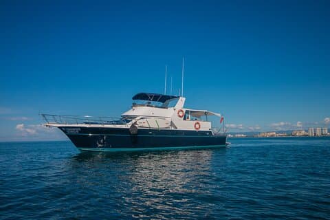 4 timmar privat charter - Bertram Yacht 57 '