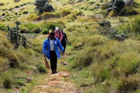 Railroad Hike to Horton Plains Borders