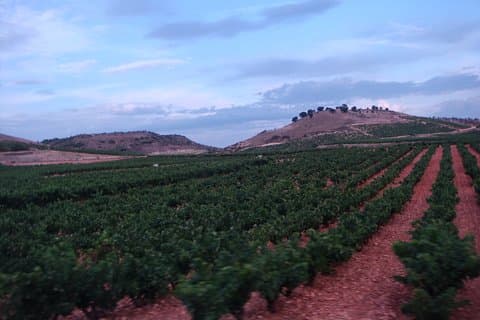 Gita di un giorno alla Rioja Wine Country