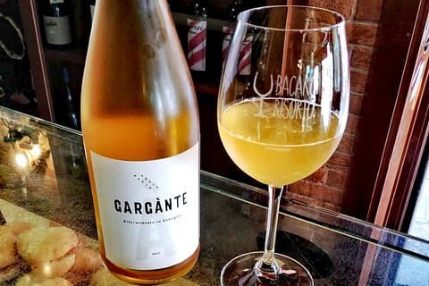 Visita privada a un viñedo escondido de Venecia con cata de vinos