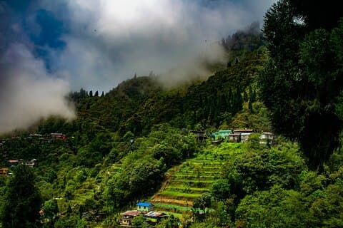 Tiger Hill Darjeeling Nature Walk (3 Stunden geführte Trekking-Erfahrung)