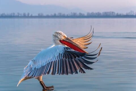 Small -Group Day Trip to Vilkovo - Ukrainian Venice