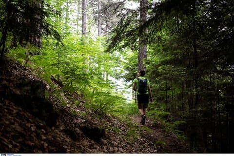 Mount Olympus Beyond the Postcards: Myths, Nature & Hidden Paths