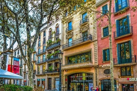 Toeristische hoogtepunten van Barcelona tijdens een privétour van een hele dag met een local
