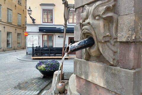 Collegamenti privati tedesco-svedese