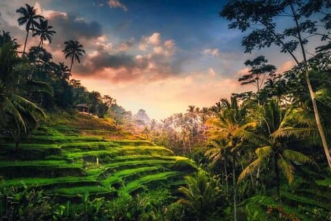 Ganztägige Ubud Private Tour