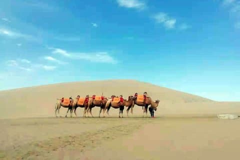 Ruta musulmana de 14 días por los musulmanes de Beijing a Xinjiang, Dunhuang, Xian y Shanghai