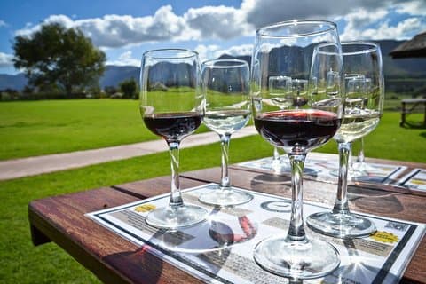 Hele dagen Cape Winelands (Stellenbosch og Franschoek)