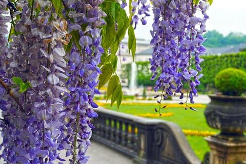Private tour of the best of Salzburg - Sightseeing, Food & Culture with a local