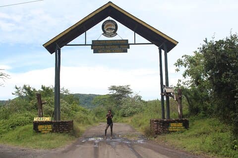 Omvisning i Arusha nasjonalpark
