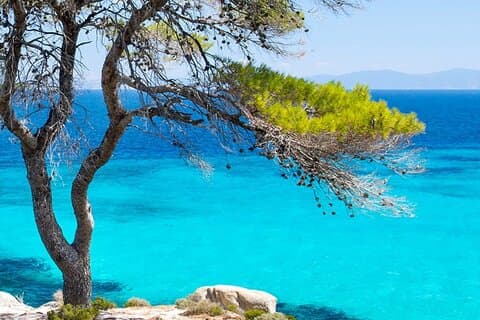 Joyas Ocultas de Chalkidiki : Playas amadas por los lugareños – Tour Privado