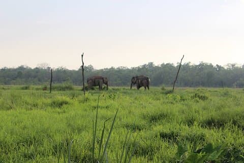 Tour della riserva naturale di Parsa da Kathmandu