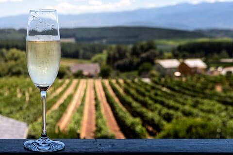 Private Champagne Day Trip - Two Vineyards of Reims & Lunch