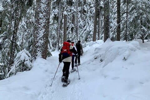 Whistler Lost Lake Snowshoeing och Village Tour