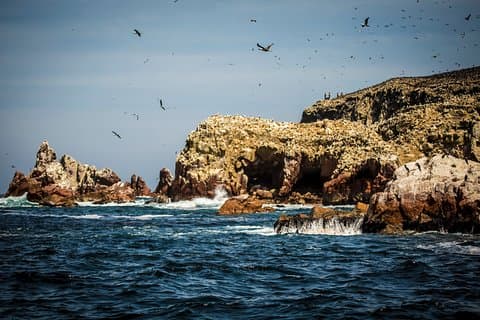Private Tour to Paracas National Reserve