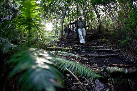 3-Day Private Hiking Trail in The Overberg
