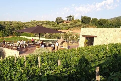Lille gruppe eksklusiv vingårds- og vinsmagningstur i Frascati