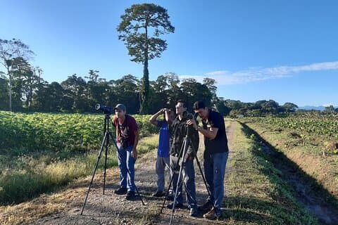 Privat Arenal Birdwatching Experience