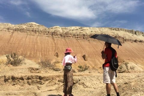 Altyn Emel, Singing Dune, Charyn canyon, Kolsay, Kaindy lake 4 days tour