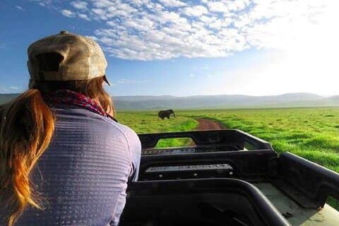 Tour del cratere di Ngorongoro
