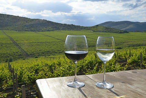 Weintour Mazedonien