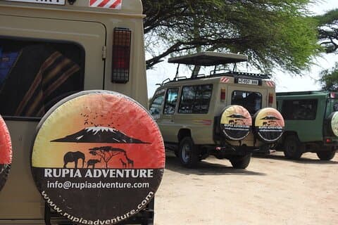 Arusha National Park Day Trip