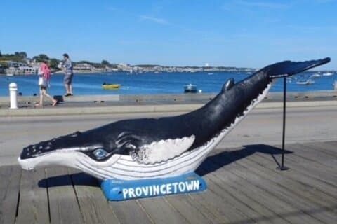 Self-Guided Scavenger Hunt: The Crown Jewel of Cape Cod