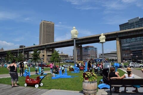 An Epic Buffalo Scavenger Hunt: Roaming Buffalo