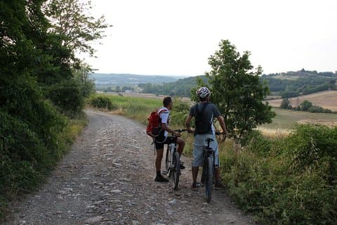 Small Group E-Bike Chianti Tour with farm lunch from Siena