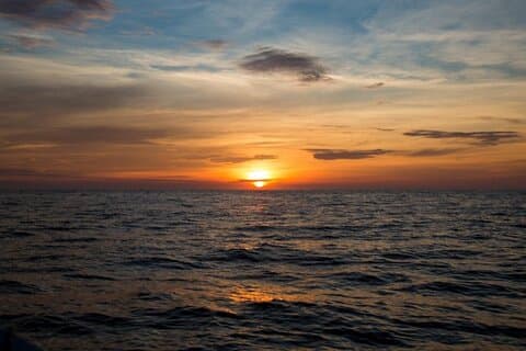 Sonnenaufgang mit Sternen und Delfinen aus Puerto Escondido