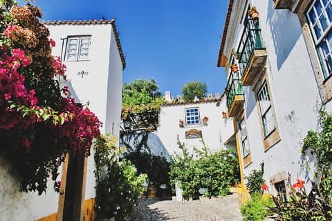 Gita giornaliera privata da Lisbona al villaggio di Óbidos e al palazzo Mafra con il servizio di prelievo dall'hotel
