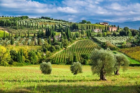 Montecarlo (Lucca) and Wine Tasting from Lucca Private Tour