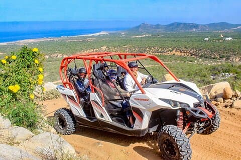 Cabo San Lucas & Southern Baja California: ALL in 6 Days, 1st Class Custom Tours