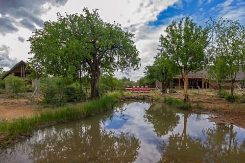2 Tage Pilanesberg Safari mit 4 Sternen