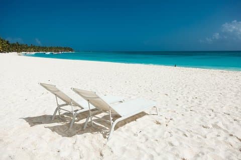Visite privée d'une journée à Saona au départ de Punta Cana