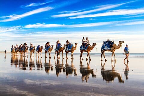 Broome Camel Tour før solnedgang 30 minutter