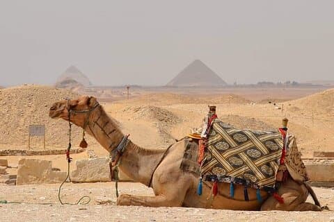 Solopgang eller solnedgang Hestevogn Ride på Pyramids Desert