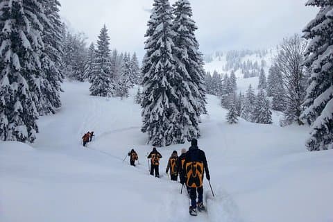 Randonnée en raquettes sur Schliersee avec balade en zipflbob