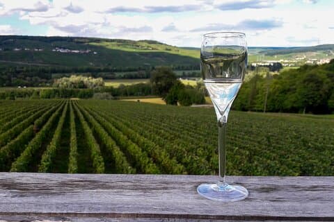 Privat dagstur till Champagneregionen med lunch