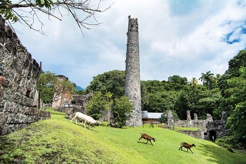 Panorama Sightseeing Tour of St. Kitts
