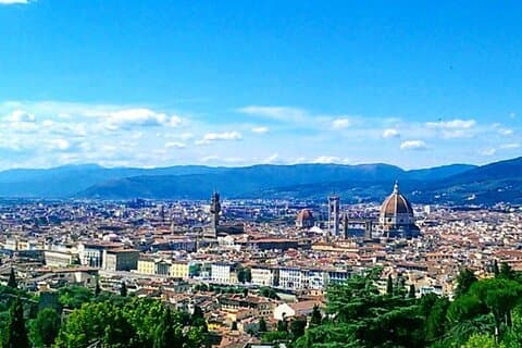 Shore Excursion from Livorno: Private Florence Tour with Michelangelo's 'David'