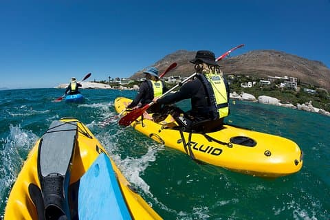 Full Day Private Sea Kayaking & Cape Point